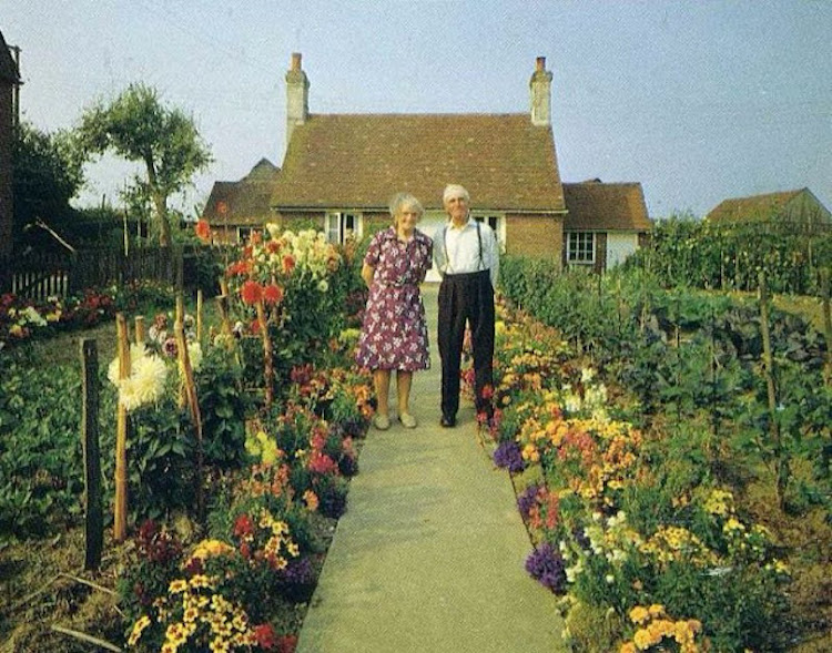 married-life-english-country-garden-ken-griffiths-4