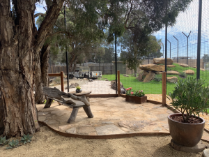 The lion's new enclosure. Image supplied.