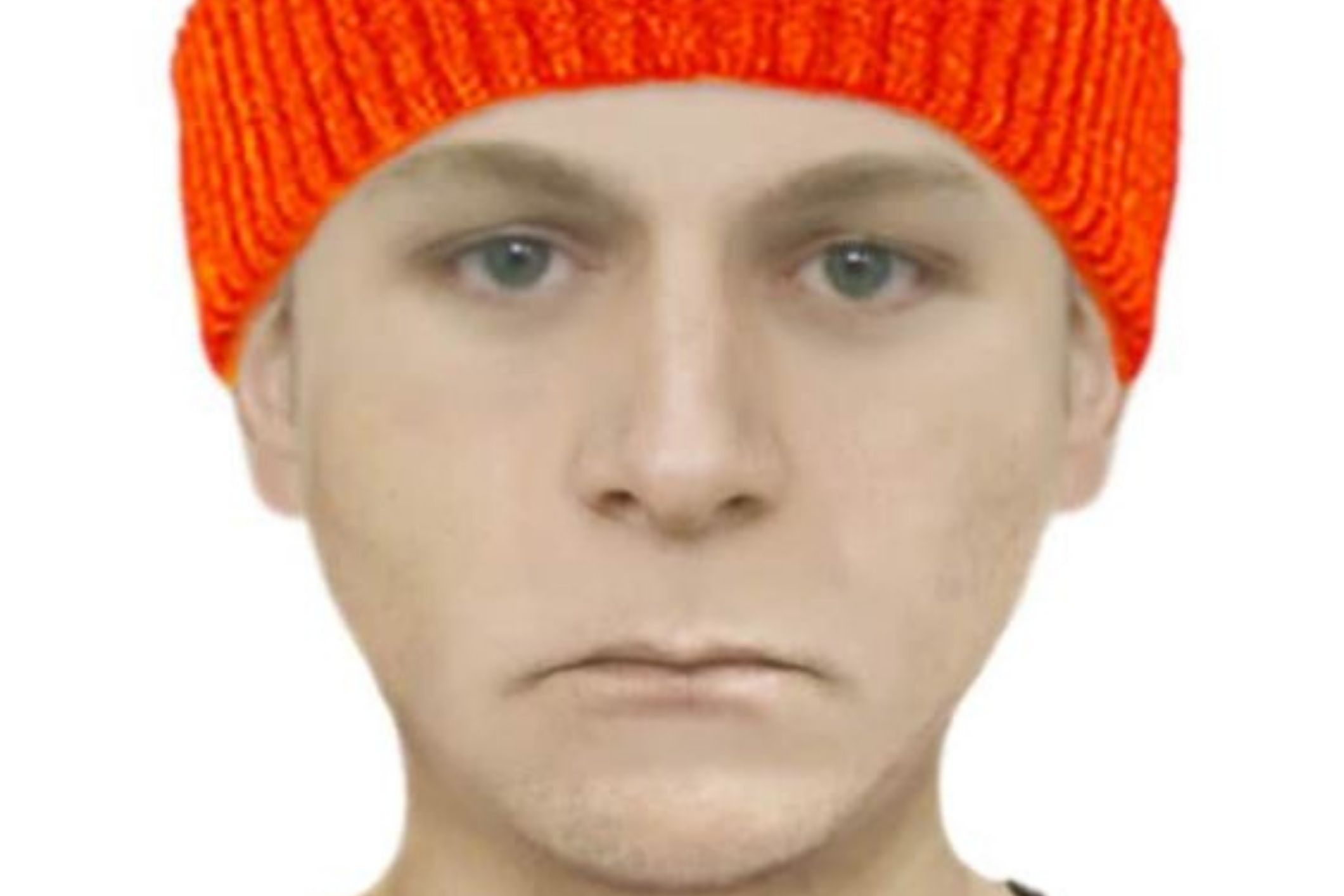 Police hunt man who sexually assaulted 90 year old woman