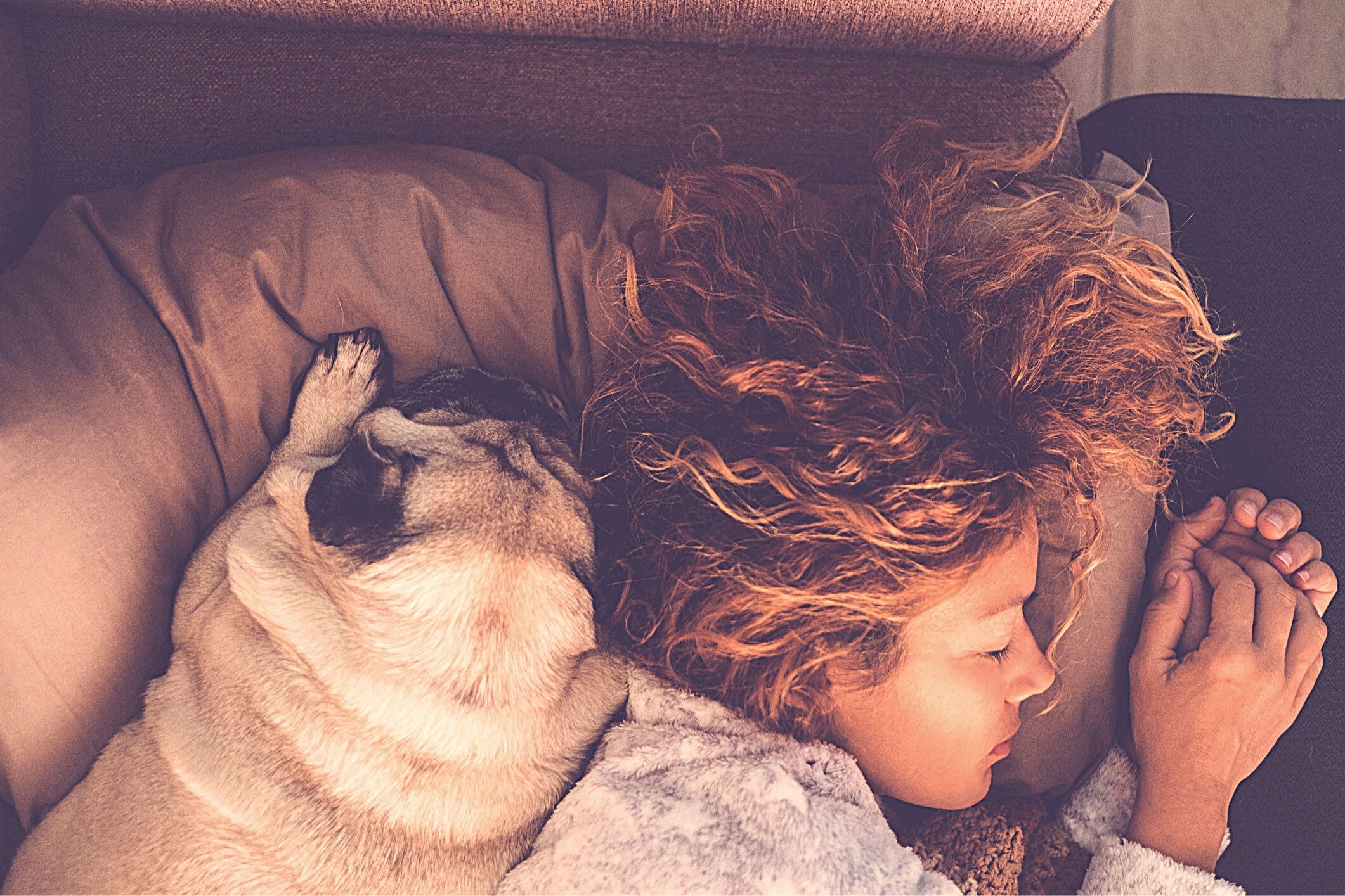 Woman in bed with dog