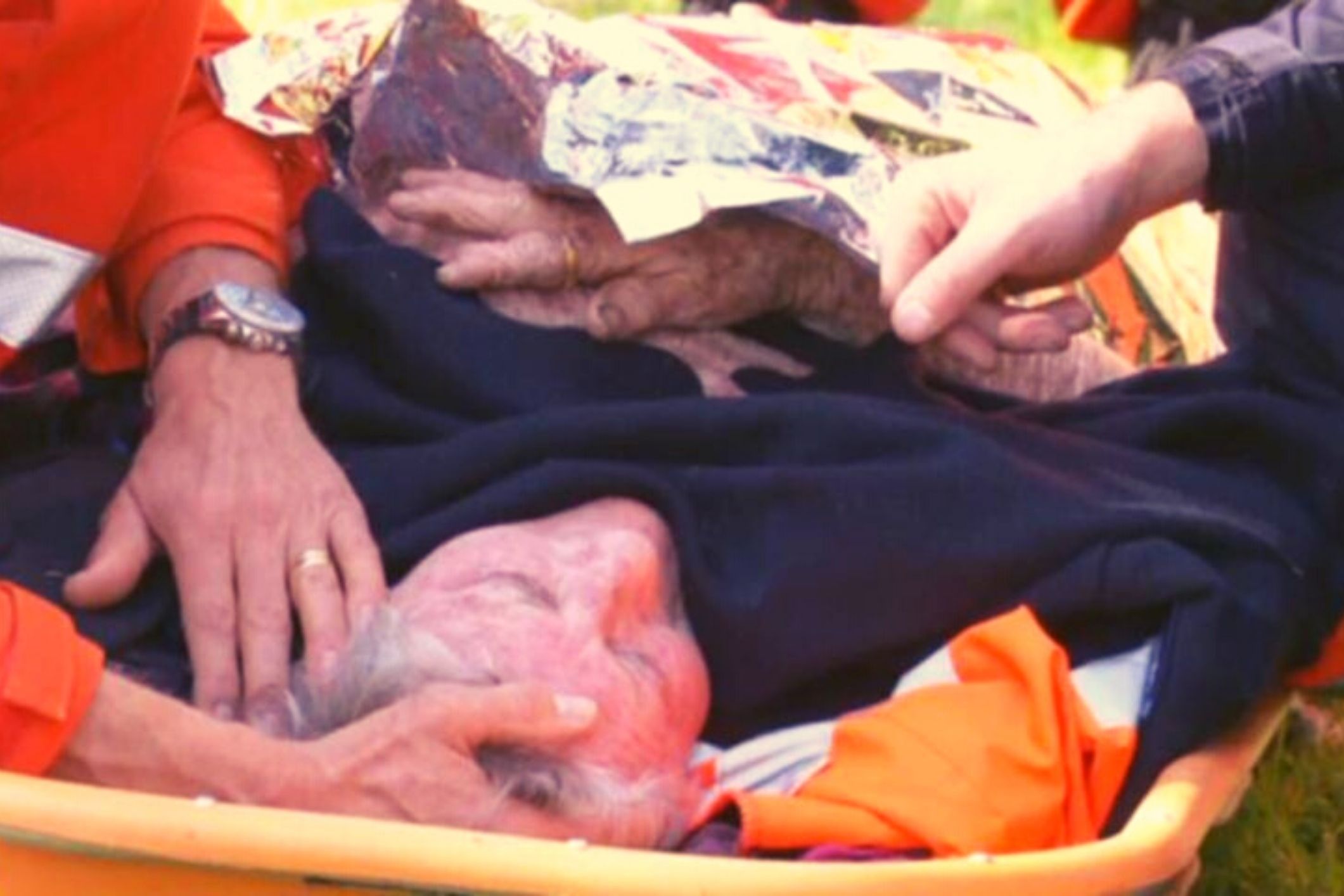 Missing grandmother found alive after two days lost in rainy bushland