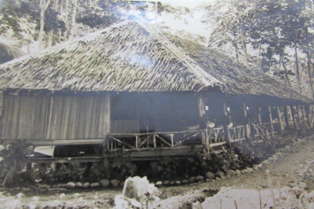 New Guinea sleeping huts
