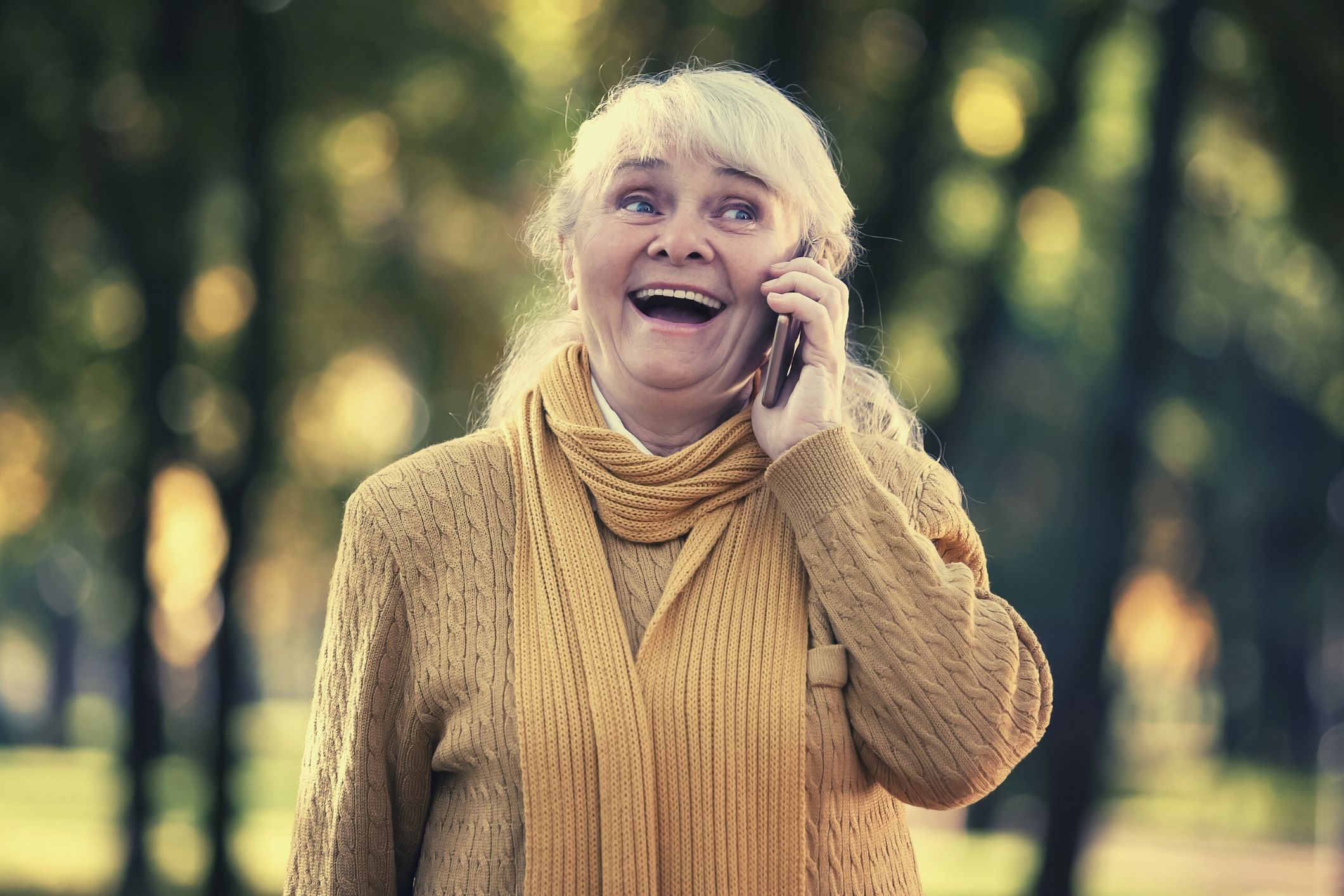 Grandmother outsmarts phone scammers and sets trap for their arrest