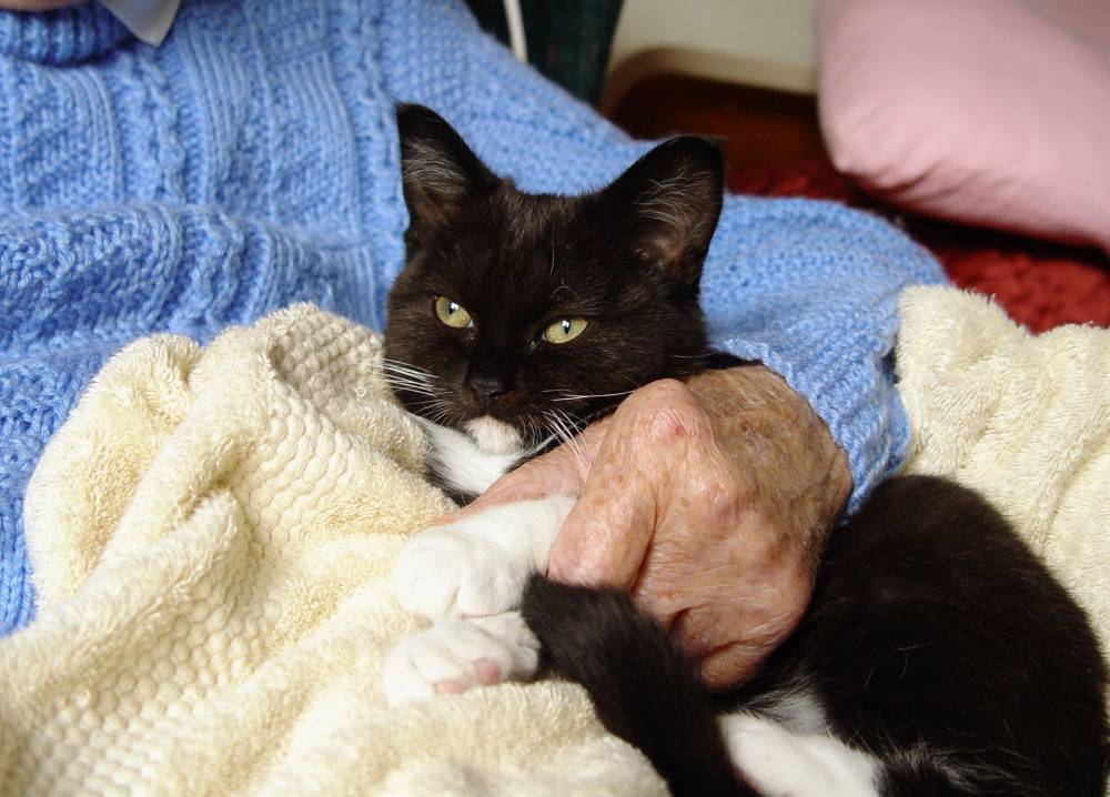 Watch How Owner Calms Down Clingy Cat Who's 'Scared' Of The