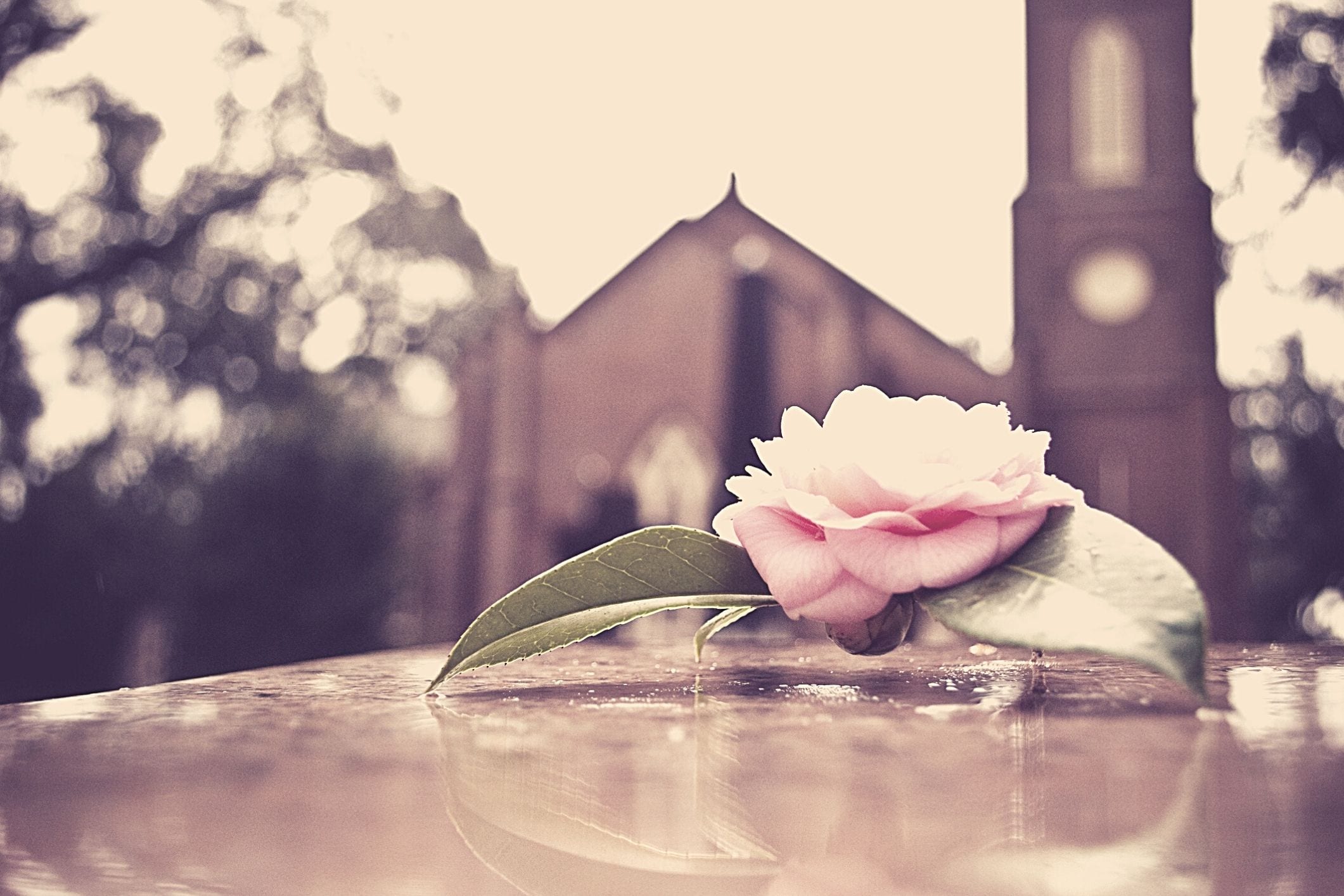 Cemetery burial plot