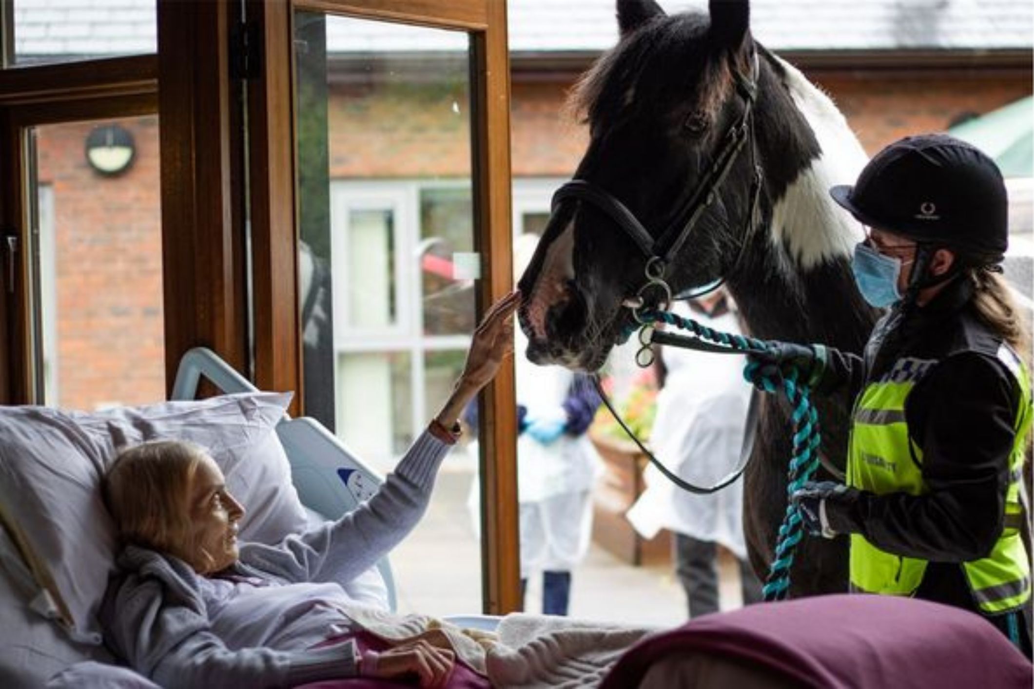Staff bring palliative woman’s ‘special friends’ to her bedside for a touching final goodbye