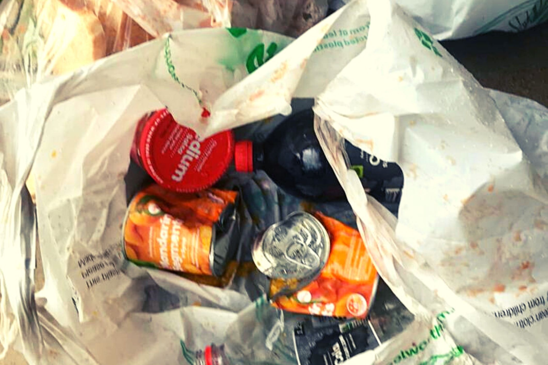 Grandmother's home-delivered groceries were run over and left in the rain