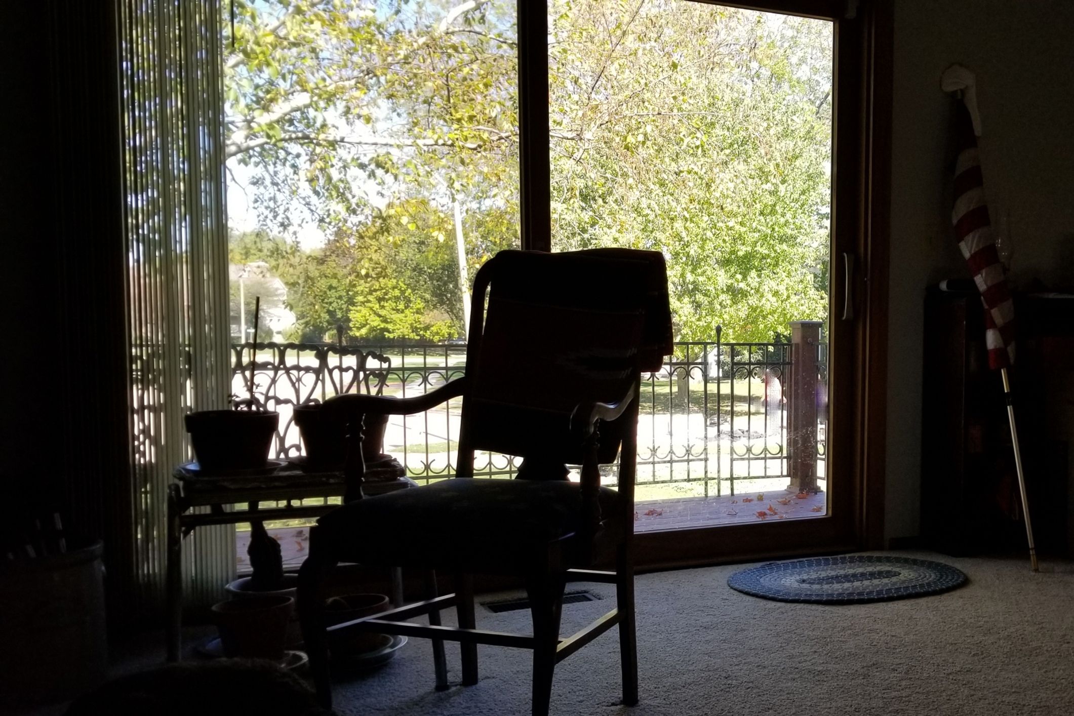 Albanese promises to jail dodgy providers