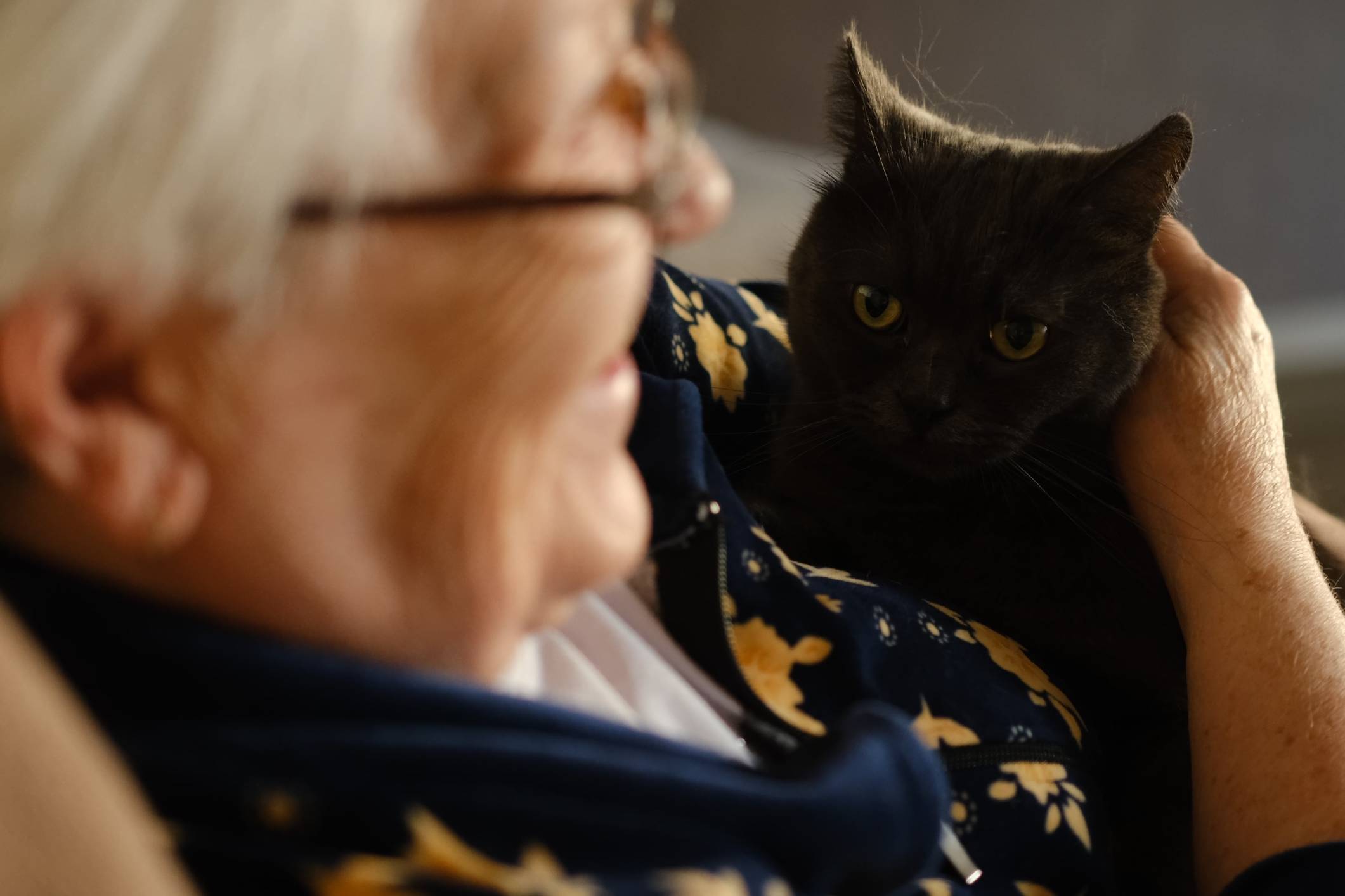 Calls for more pet-friendly aged care options