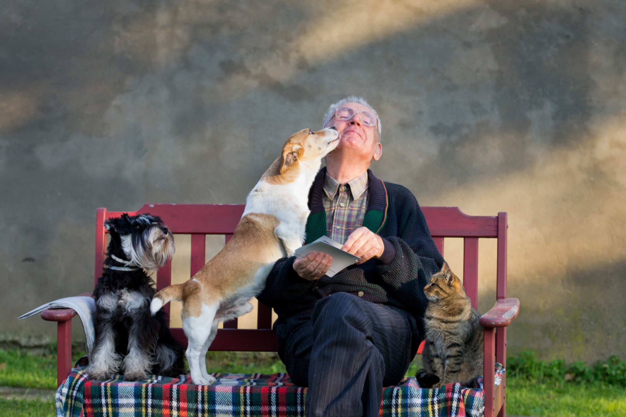 21 pets in aged care HC