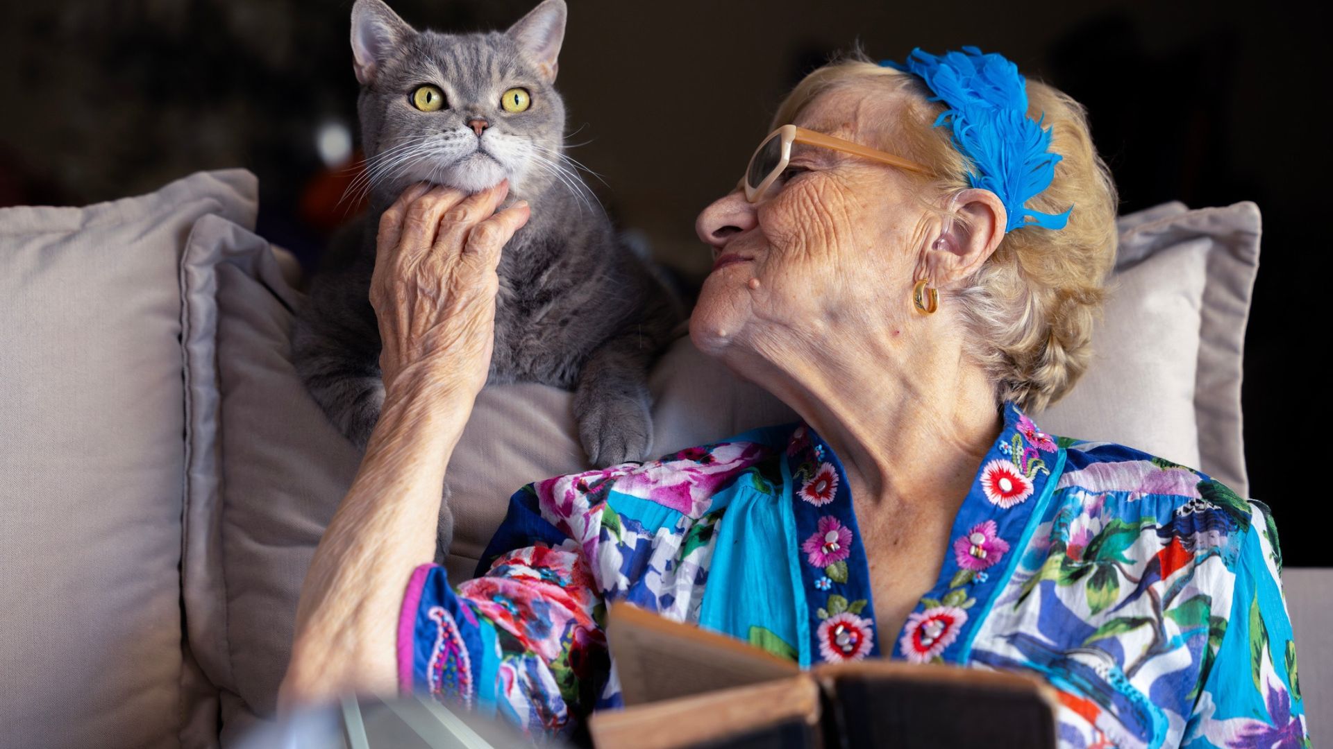 Can cats actually predict when somebody is about to pass away?
