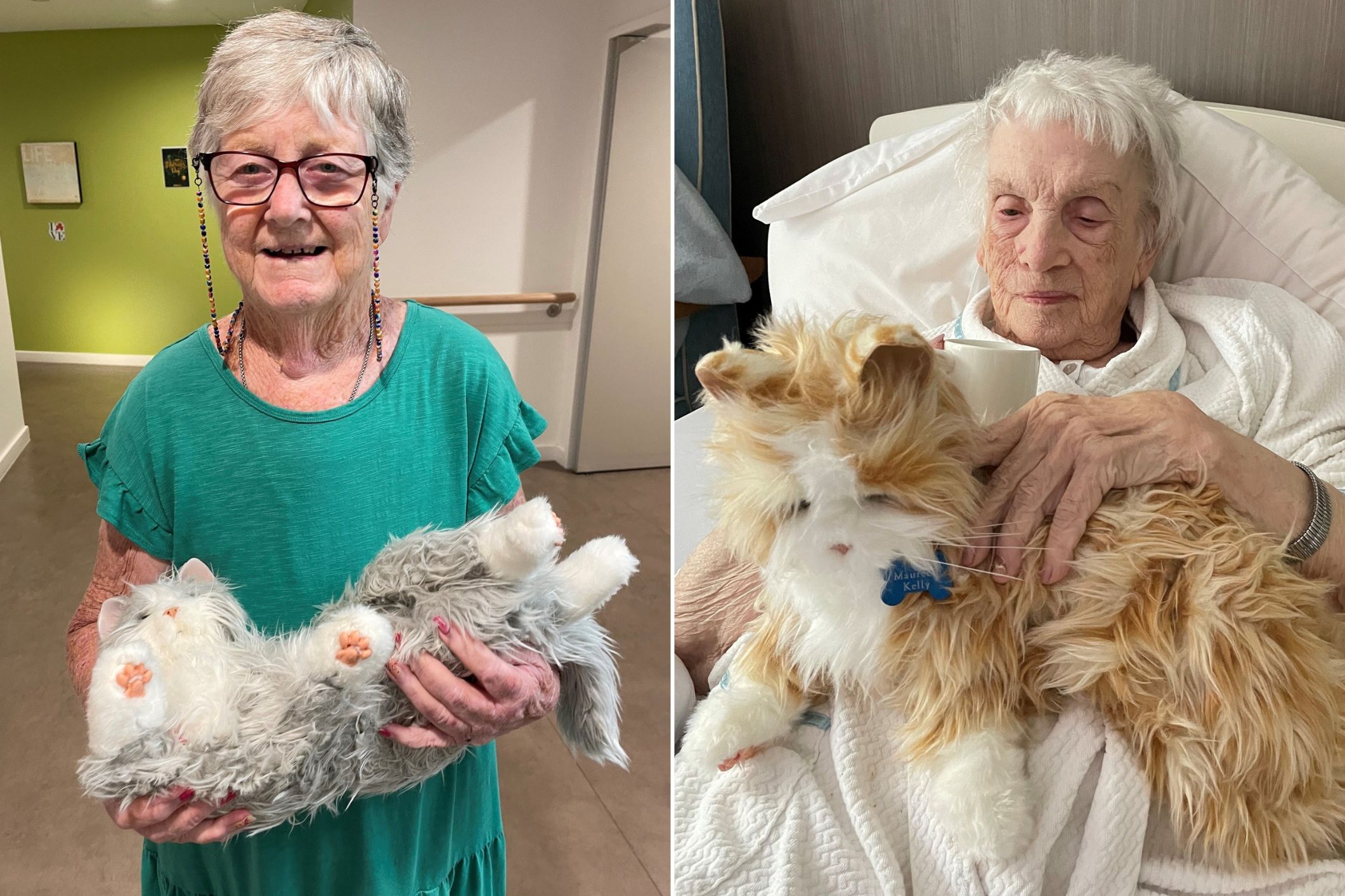 Robotic pets give elderly residents a reason to smile