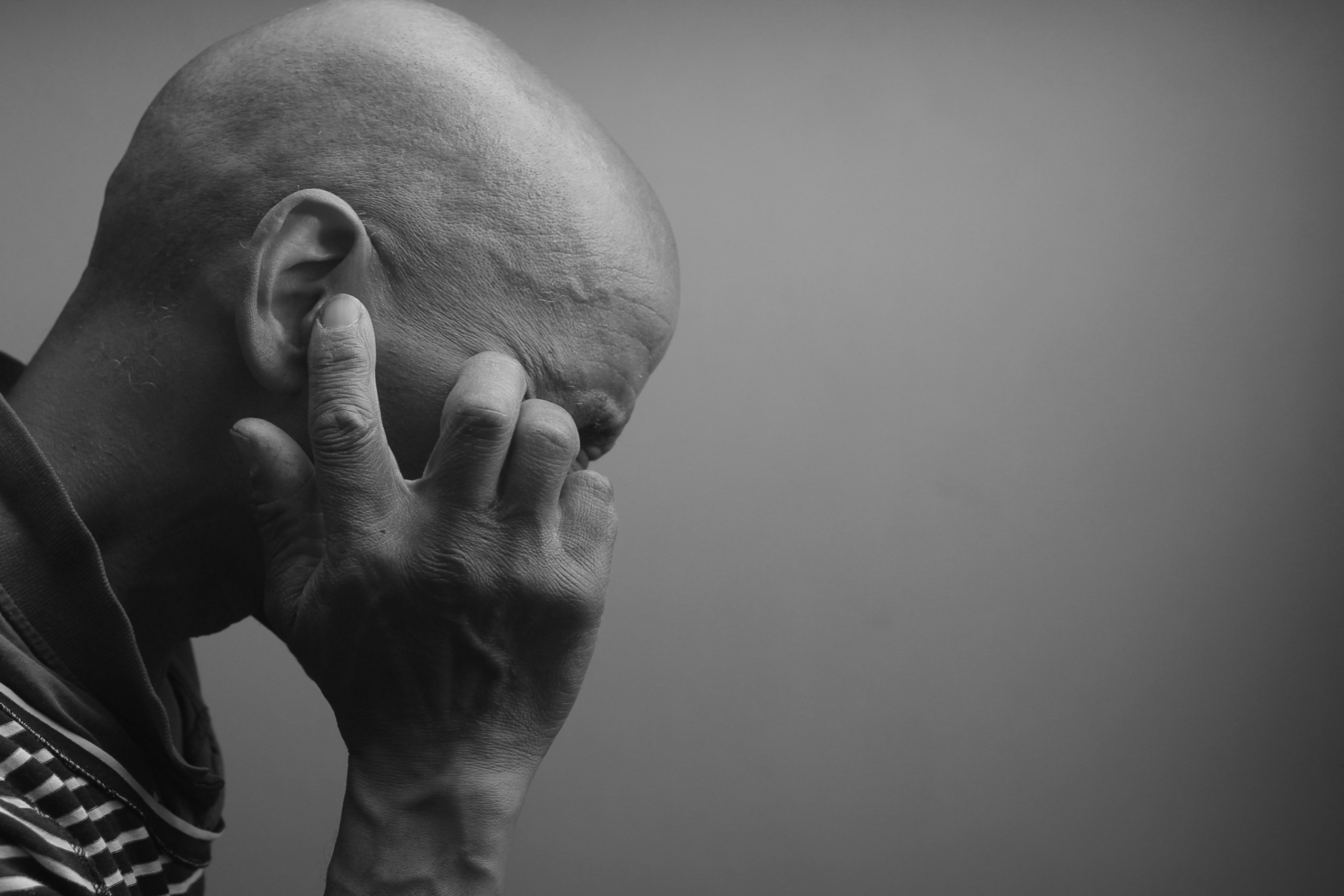 Shutterstock_2313727001