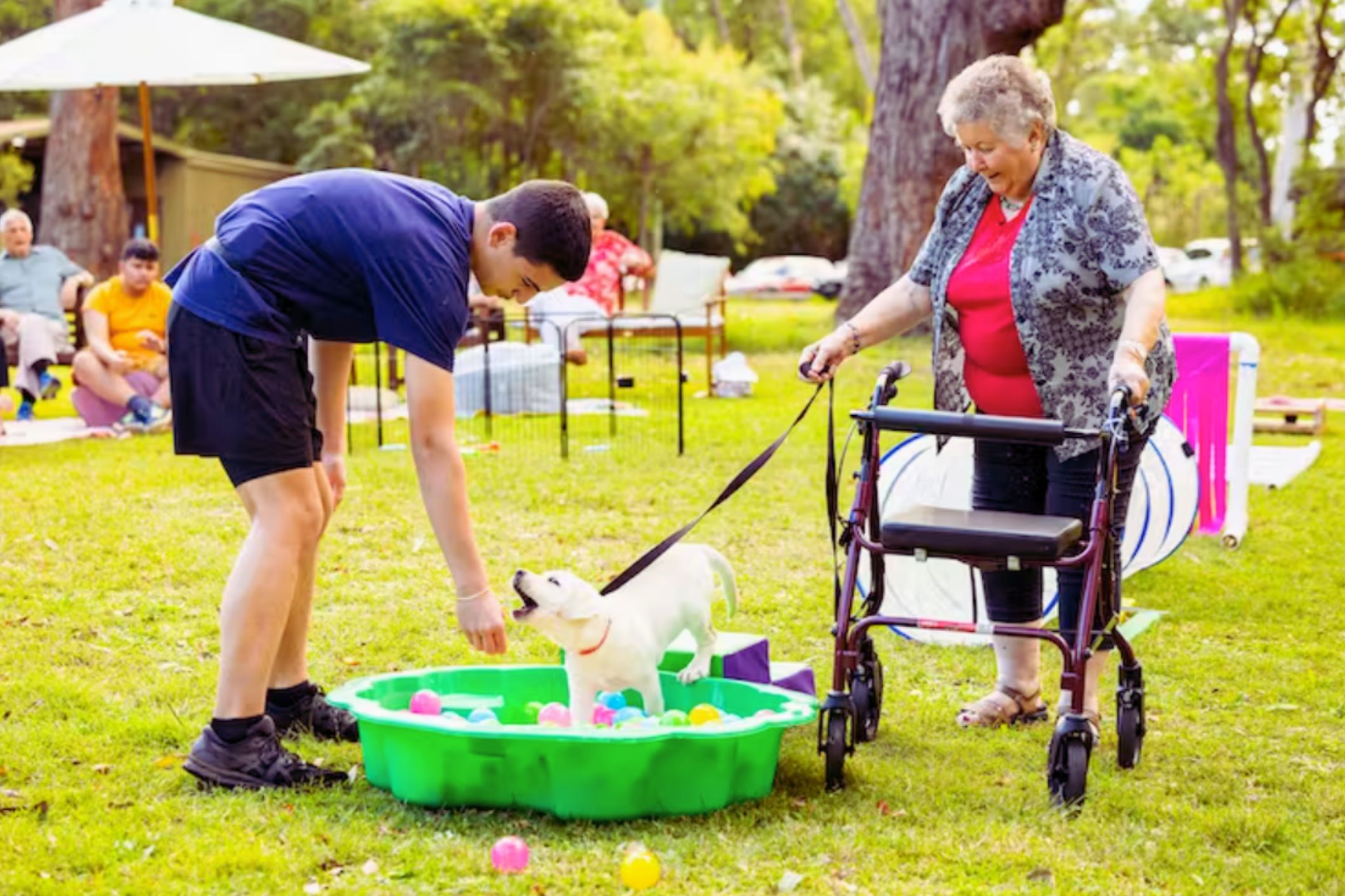 Untitled design - 2023-11-06T095418.799