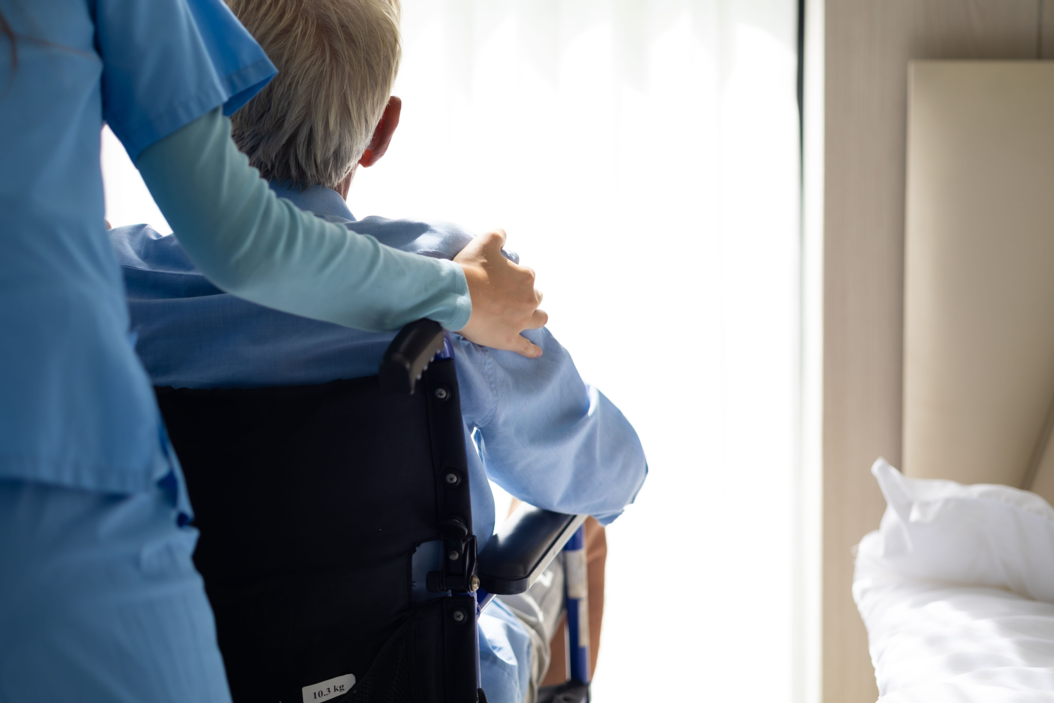 Shutterstock_2311388683