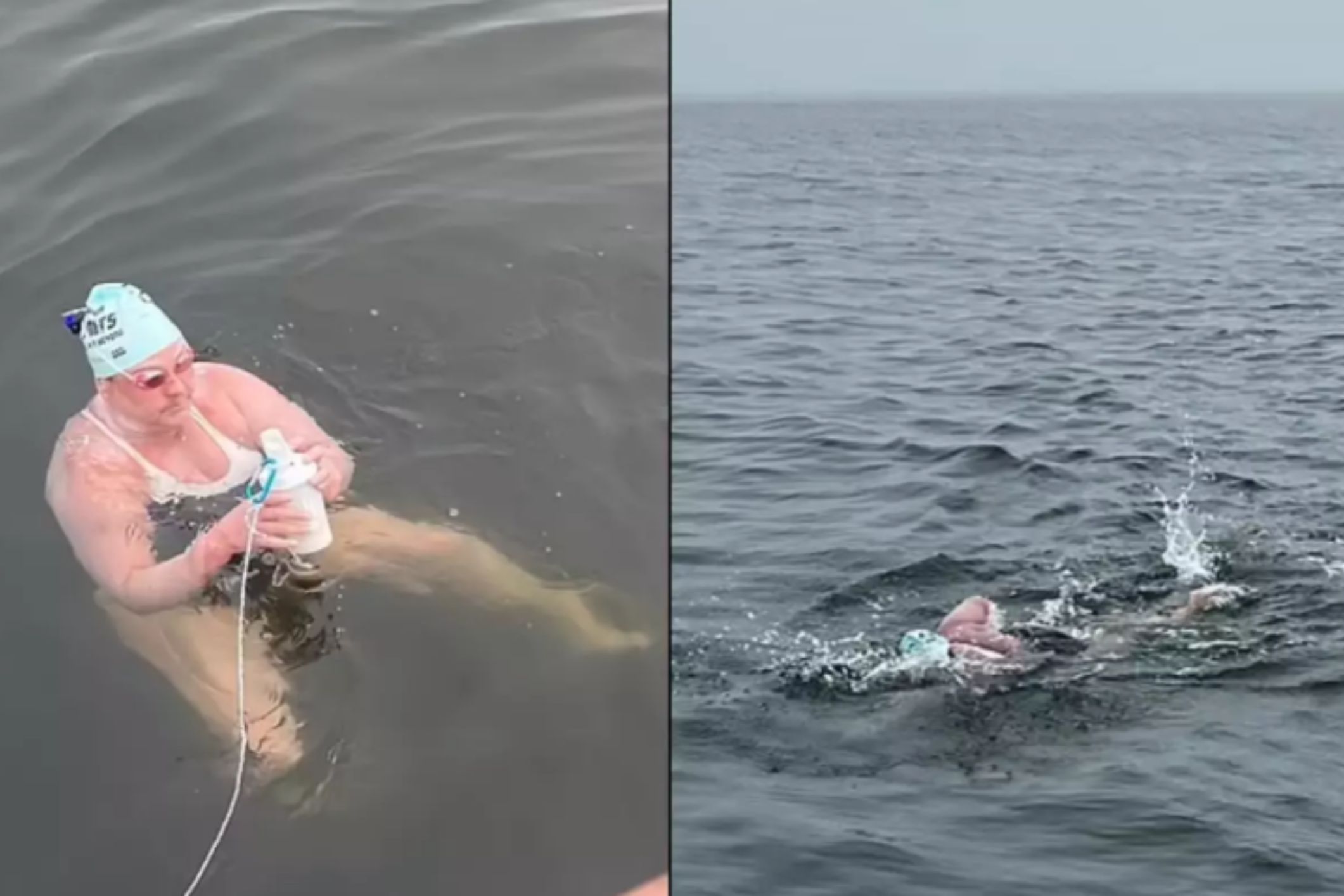 Grandmother Completes 17-Hour Swim Through Great White Shark-Infested Waters