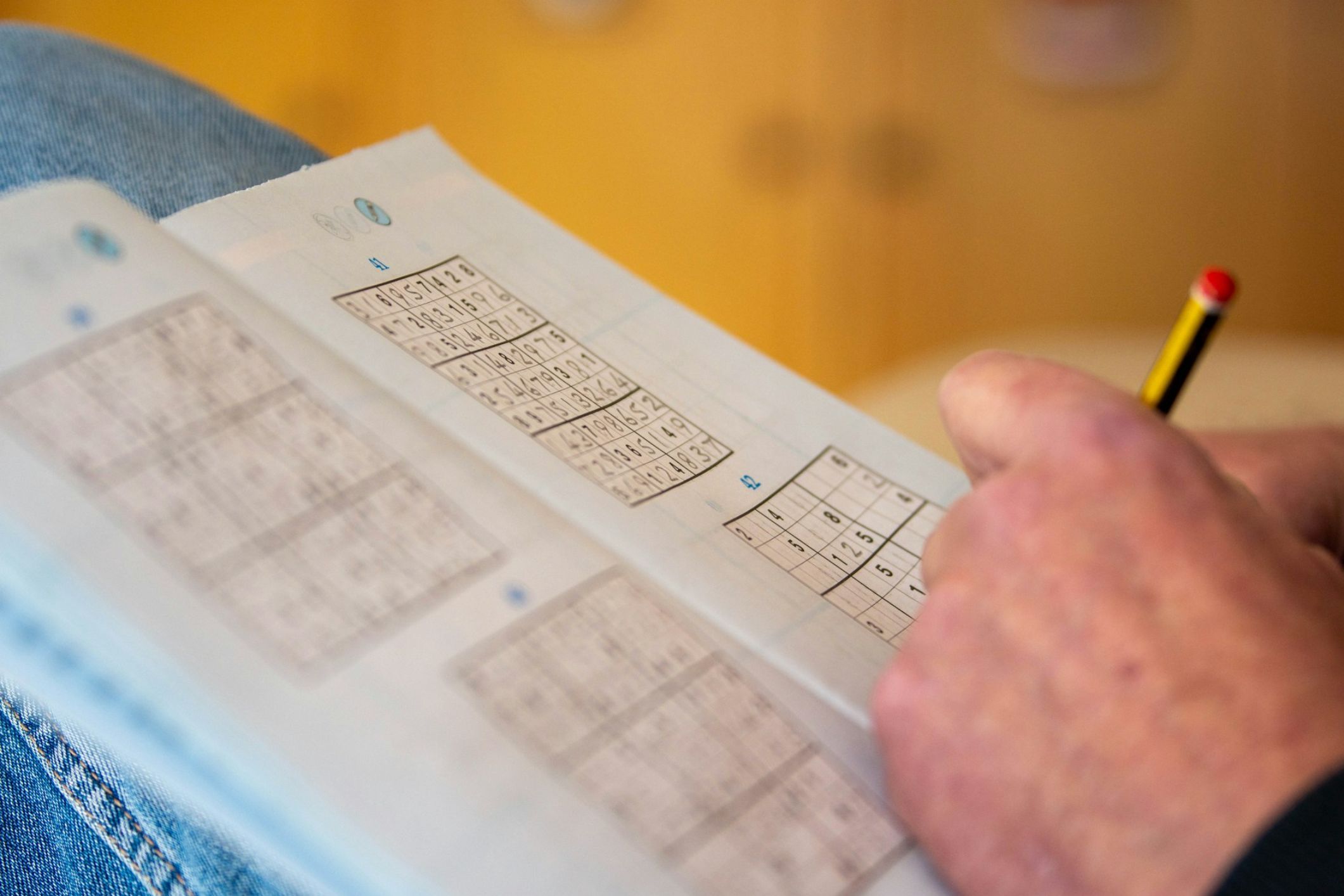 Sudoku and project management skills