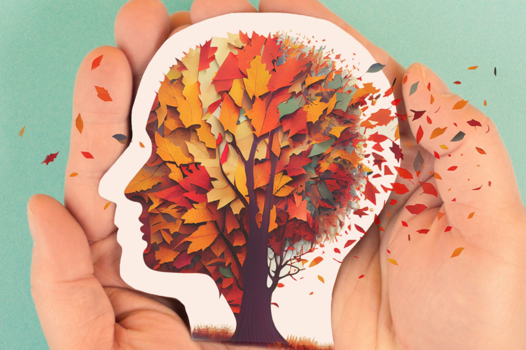 What’s the difference between Alzheimer’s and dementia