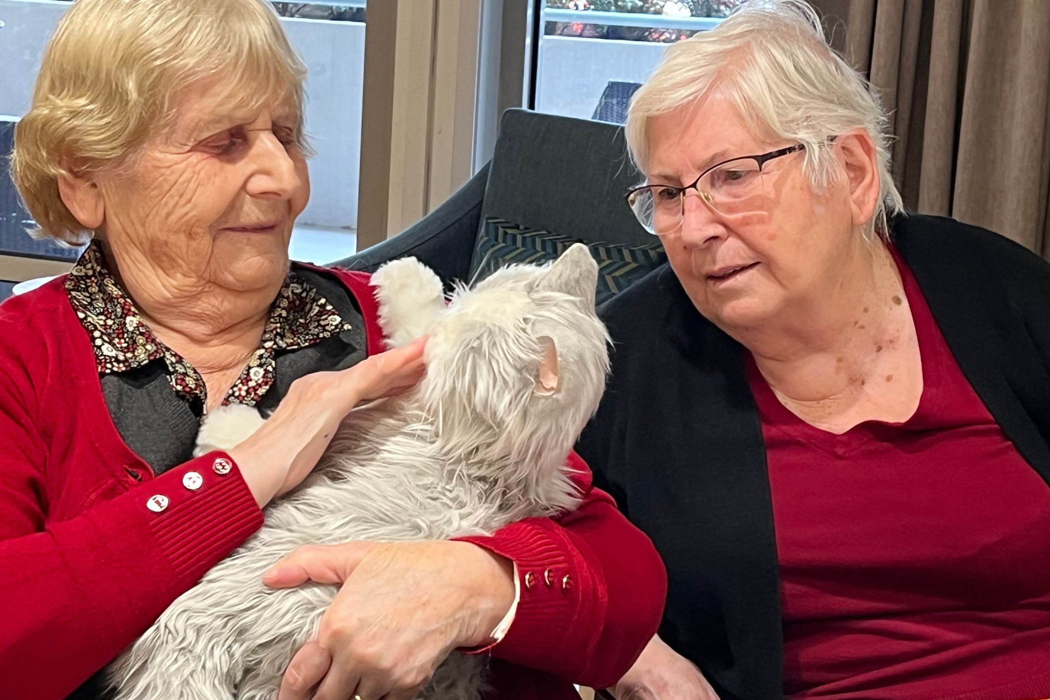 The Pets and People Program: Combating aged care loneliness with the love of animals