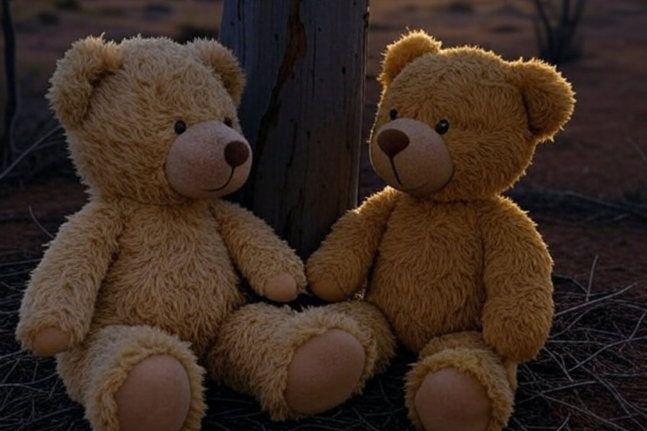 NSW grandmother’s mental health central to case in tragic murder of grandsons