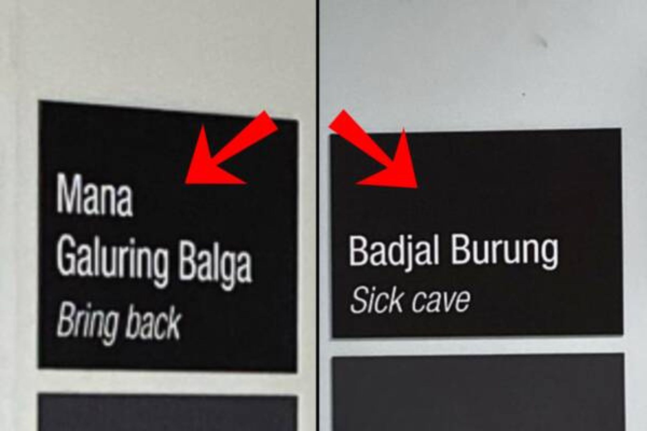 Aboriginal signage in hospital emergency department criticised for confusing patients