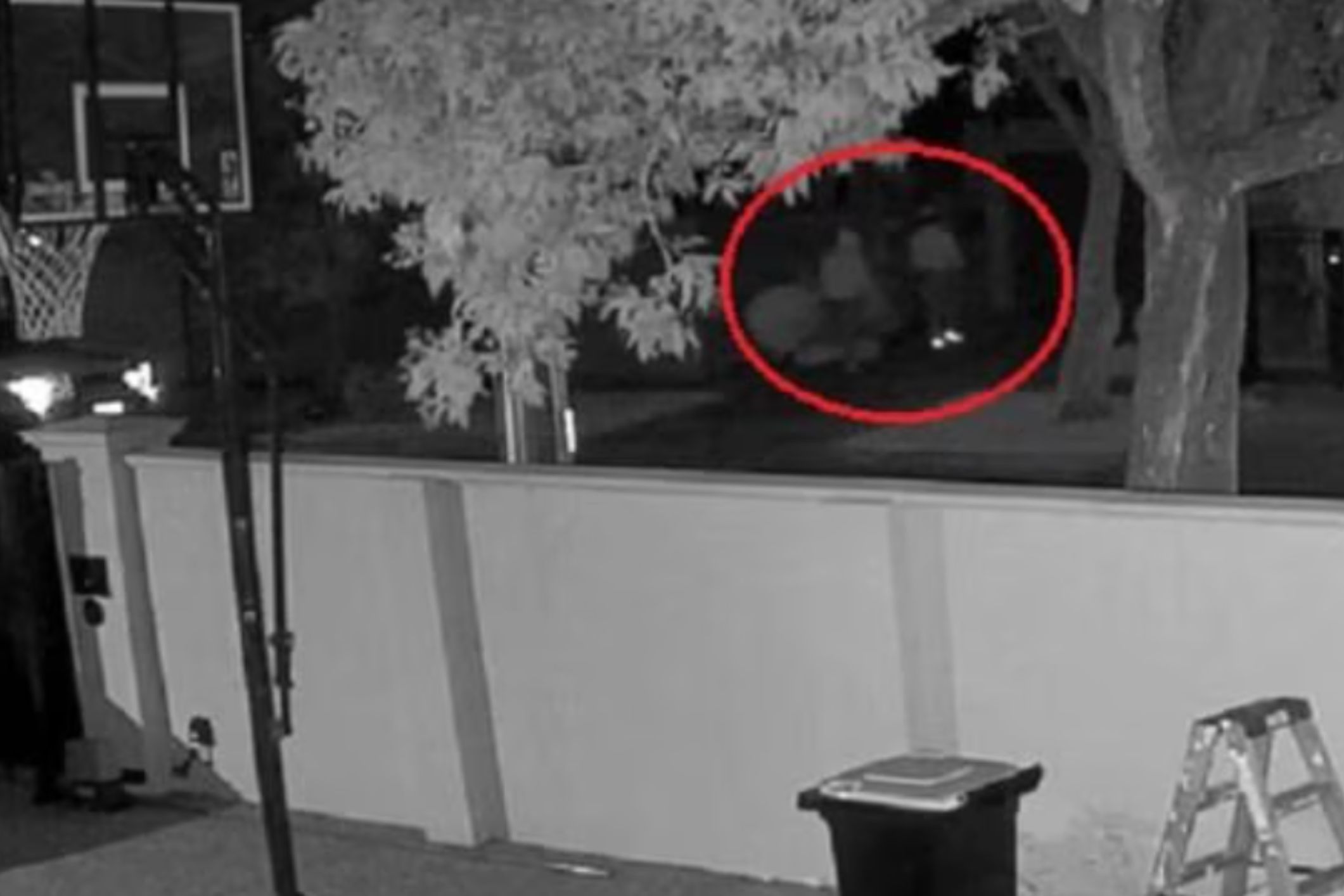 Grandmother calls for tougher penalties after terrifying home invasion