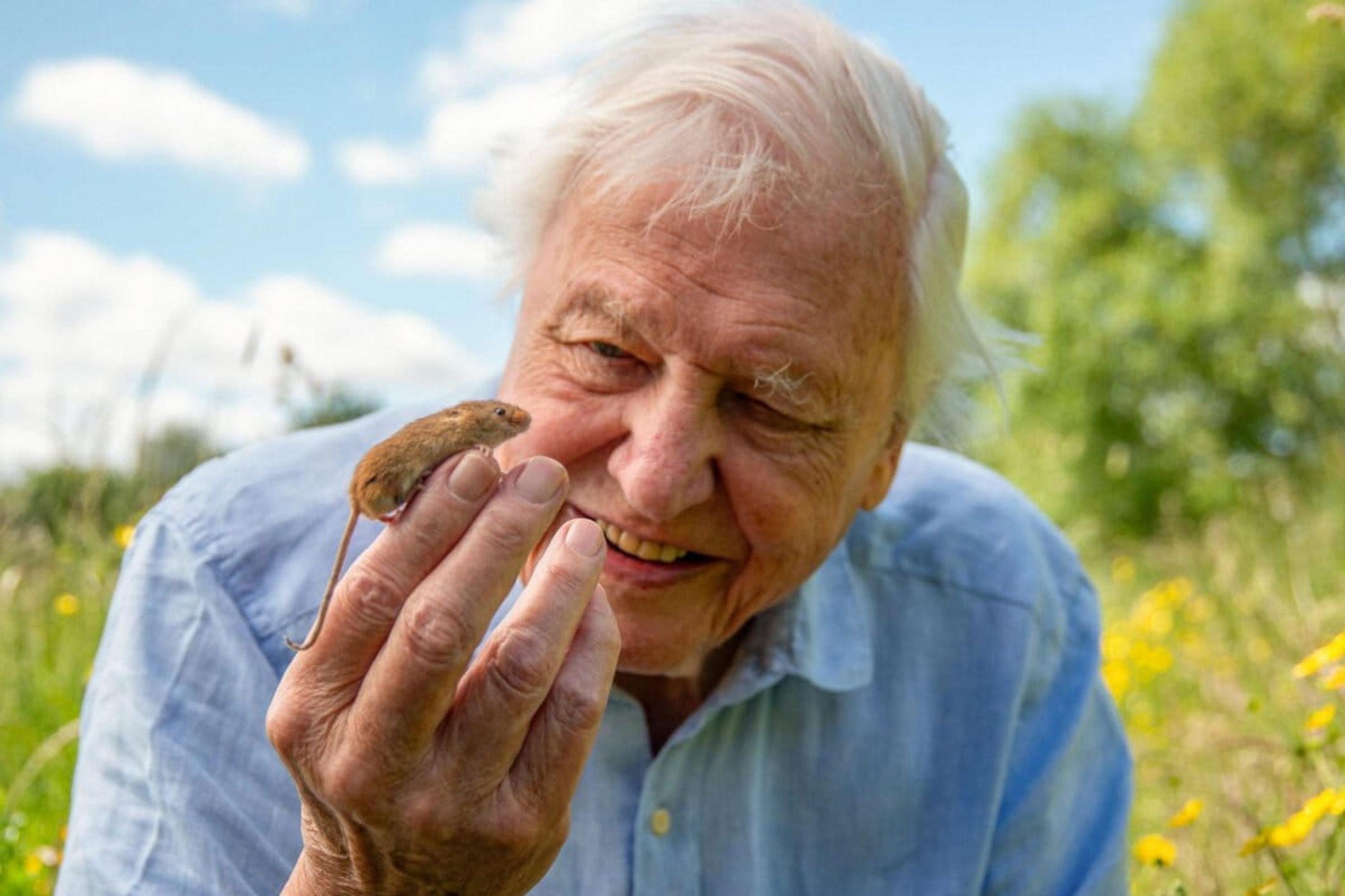 As David Attenborough turns 100, we explore his legacy, from science to storytelling